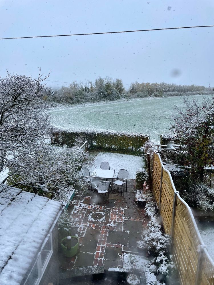A backyard covered in snow
