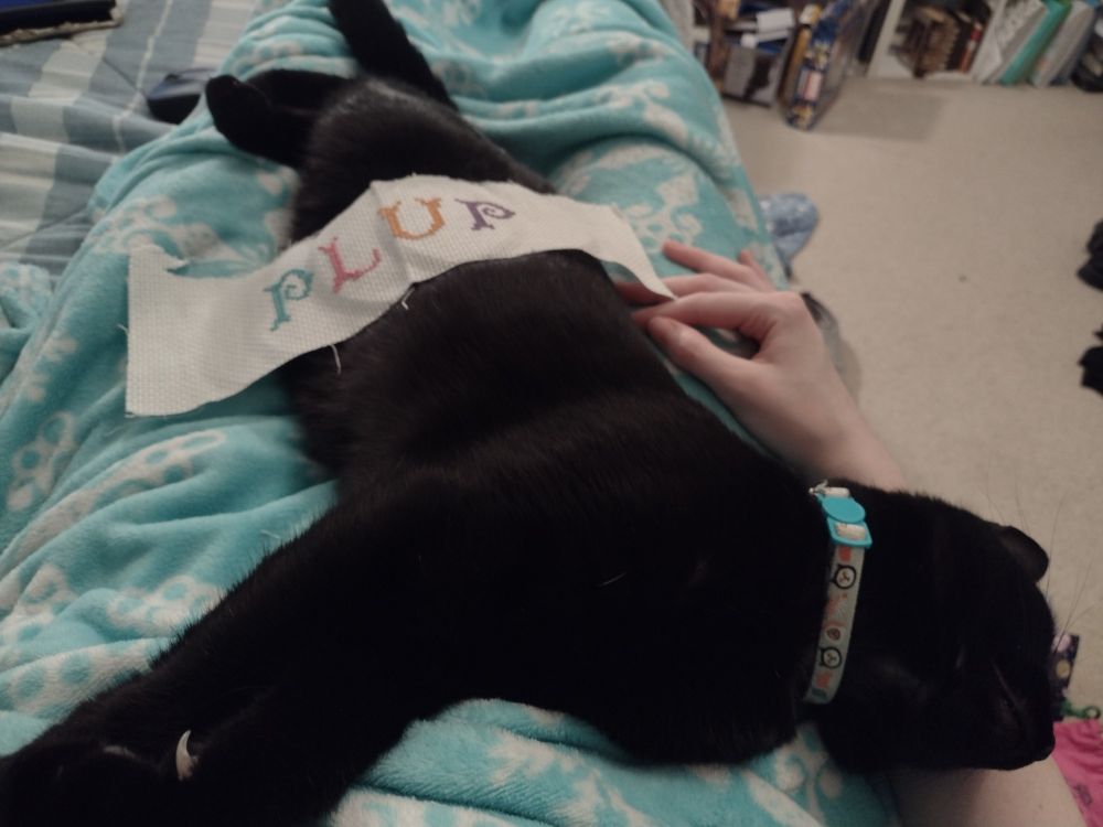 A scrap of aida cloth with PLUP embroidered on it is draped over the long form of a black cat stretched out on a lap, his head almost falling off
