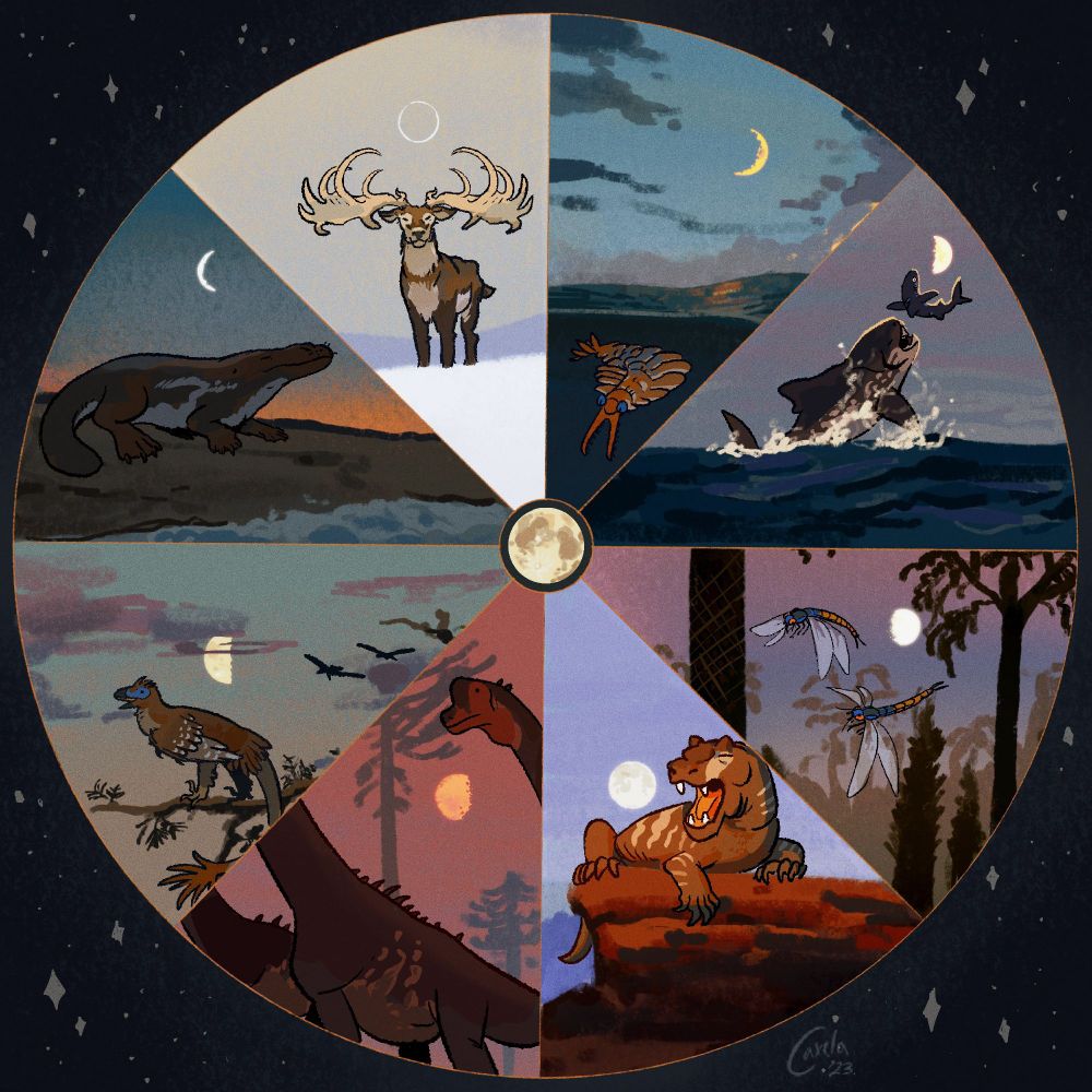 A circle is divided into 8 slices, each showing a distinct phase of the moon and fauna of a certain geological period. The phases and corresponding animals are the following: waxing crescent & Anomalocaris, first-quarter & Dunkleosteus (hunting a Cladoselache), waxing gibbous & Meganeura, full moon & Anteosaurus, waning gibbous & Giraffatitan, third-quarter & Jeholornis, waning crescent & Rodhocetus, new moon & Megaloceros. The borders of the piece show a starry night sky.