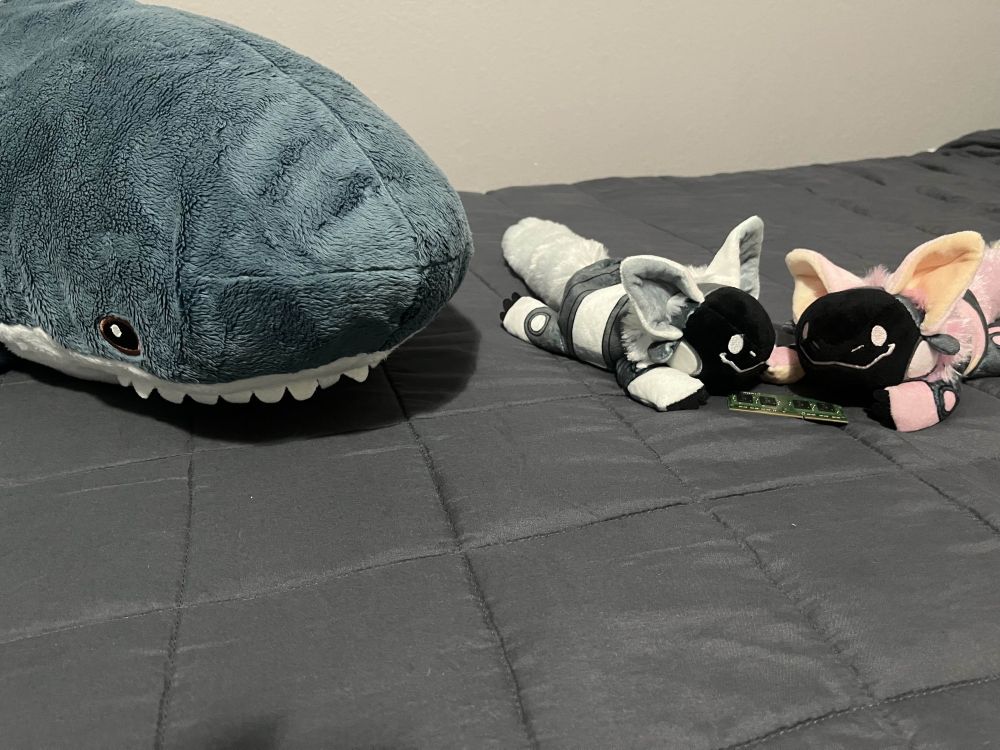 blahaj on the left with two protobeans, a white one and a pink one, fighting over a laptop RAM stick on the right