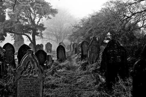 Black-and-white photo of a misty graveyard with uneven ground and bare trees