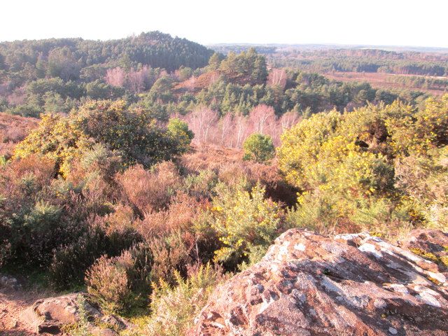 Three small, tree-covered hills in a heath-like landscape