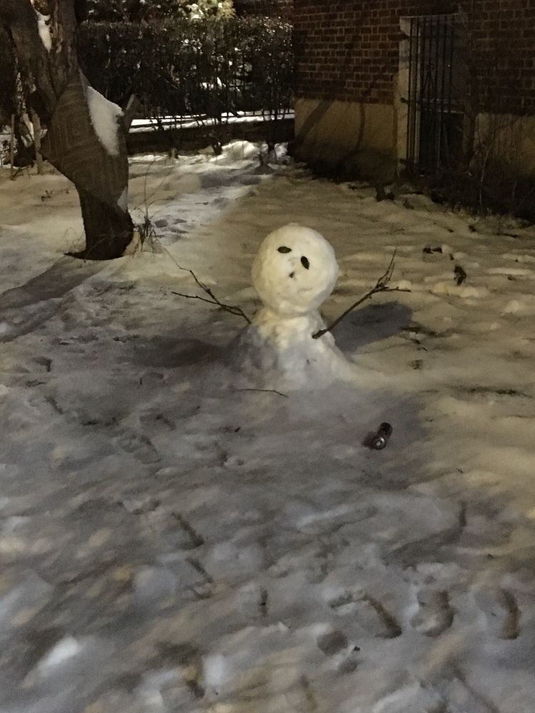 photo of a snowman