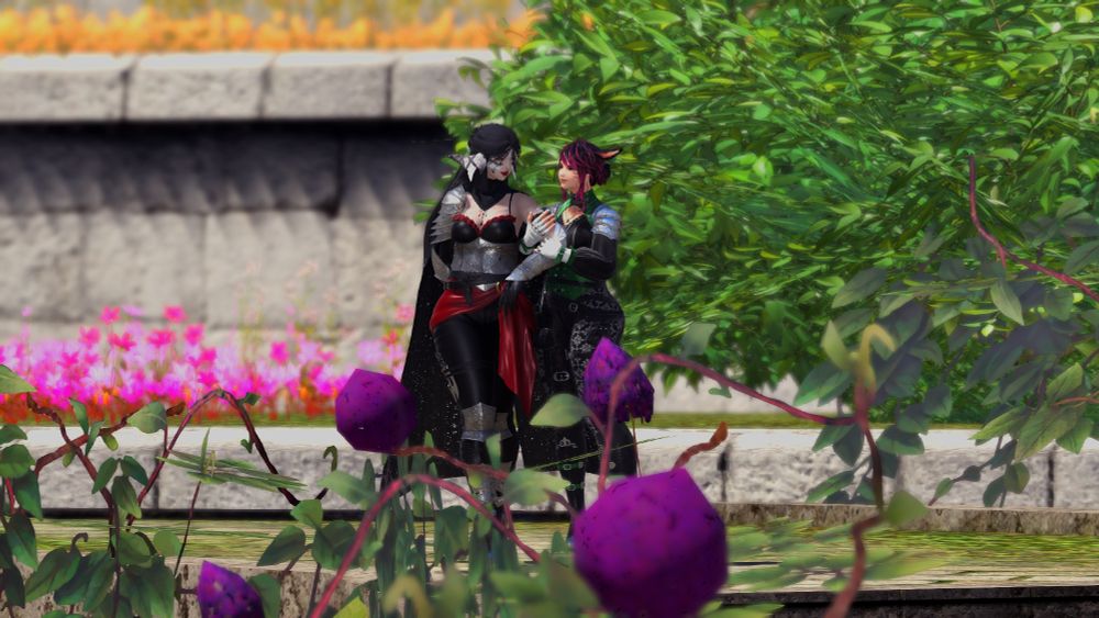 a distant view of two wols, wren, an aura and jill, a miqo. the aura holds her arm out for the miqo as they walk through an overgrown garden