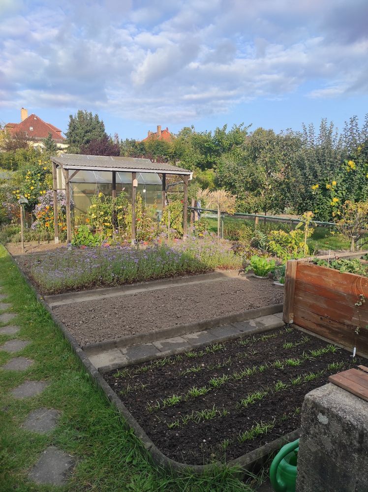 Blick über einen sonnigen Garten mit Beeten, im Hintergrund ein Gewächshaus, darüber locker bewölkter Himmel