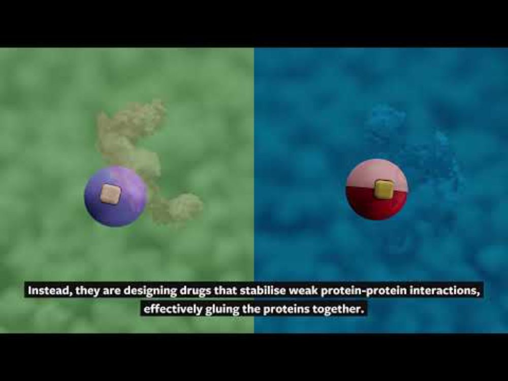 Molecular Glues: drugging the undruggable