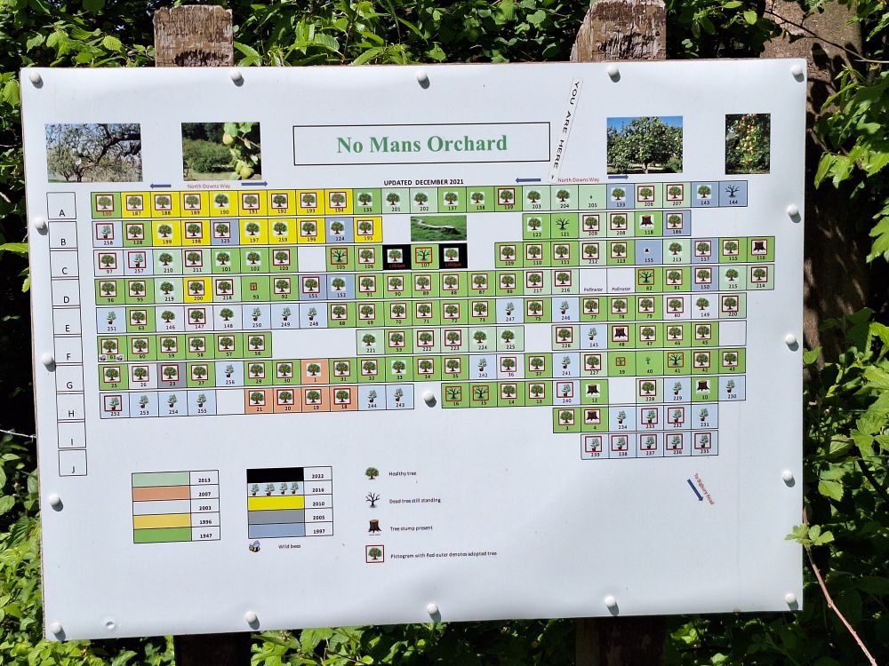 No Mans (sic) Land sign showing tree ages and ones that are adopted by people