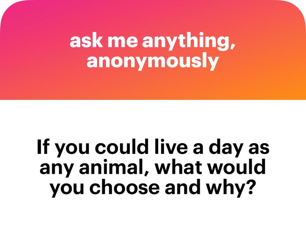 If you could live a day as any animal, what would you choose and why?