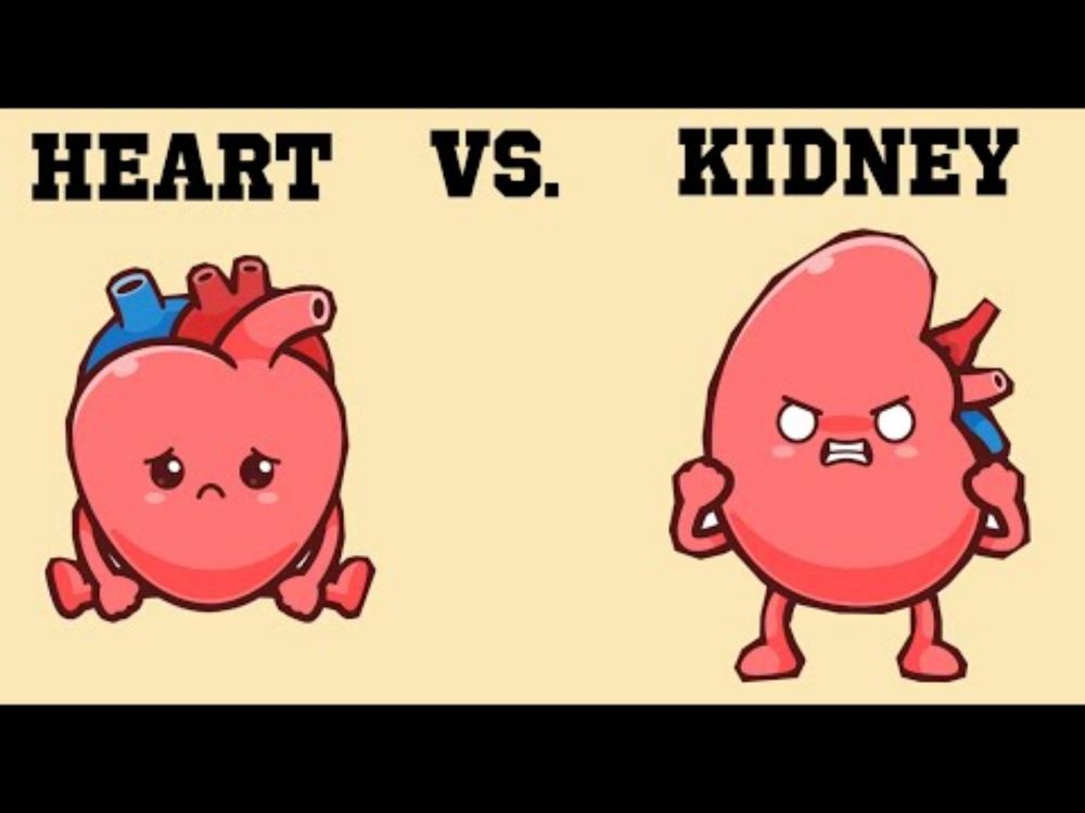 Heart vs. the kidneys