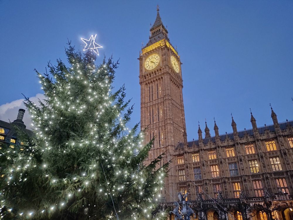 Christmas tree with Elizabeth Tower behind.