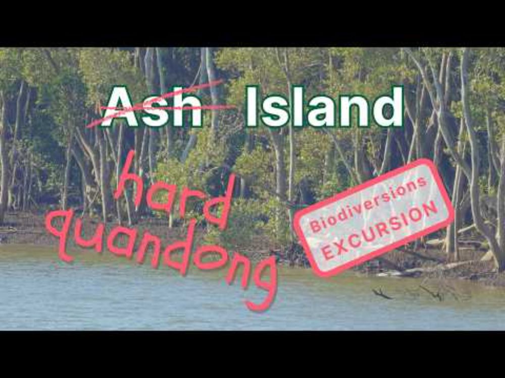 Hunter Wetlands: Pelicans vs. Pinot