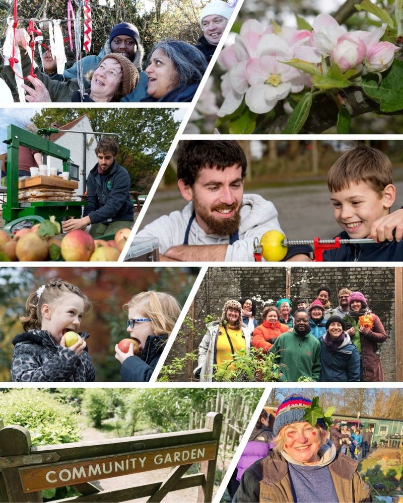 Eight images celebrating The Orchard Project's work. Community celebrations, children eating apples, apple pressing, apple blossom and community groups.