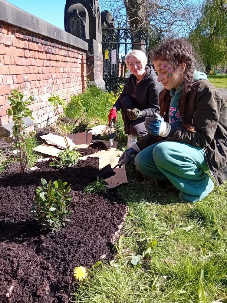 Members of the community planting berry bushes and herbs.