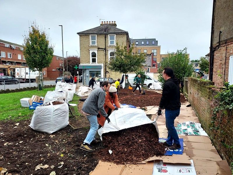 Group of people adding woodchip milch to cardboard in an urban setting.