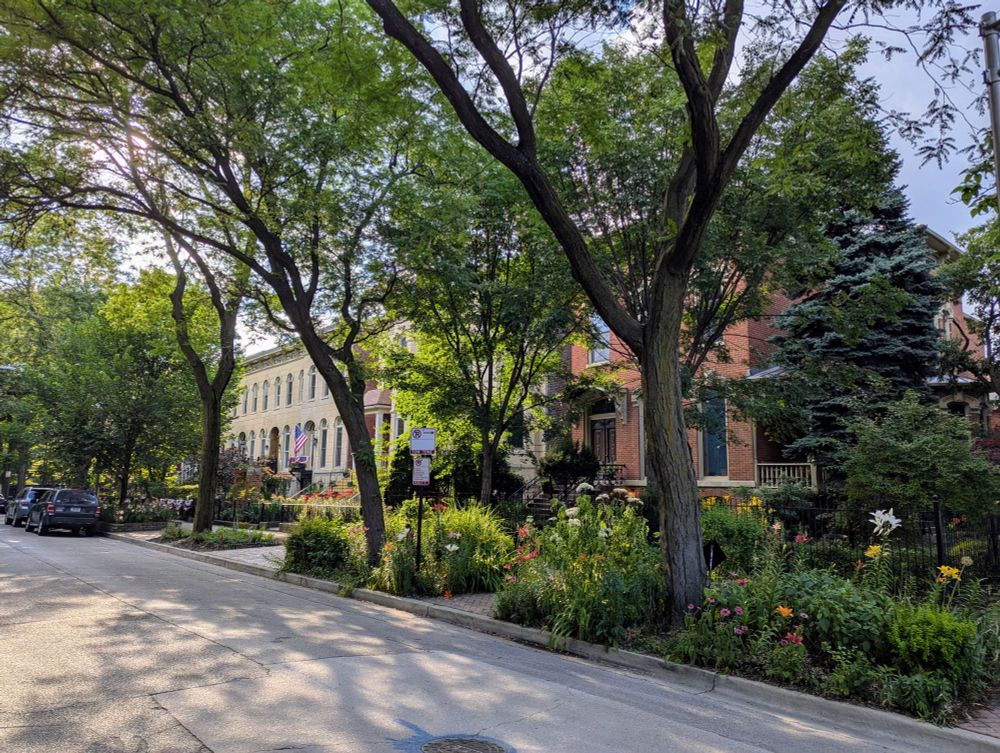 A row of houses in Little Italy, Chicago