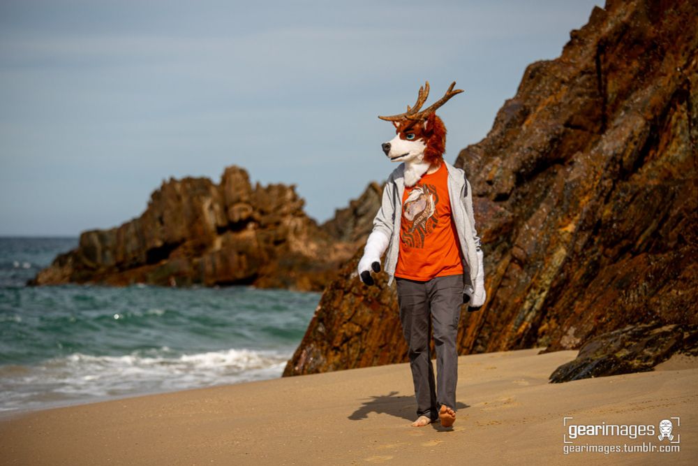 Deer fursuiter walks in a partial suit on a beach in Australia.