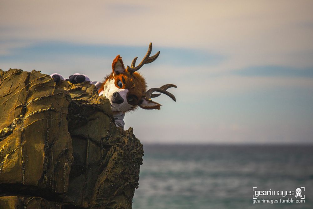Deer fursuiter peeking up behind a rock.