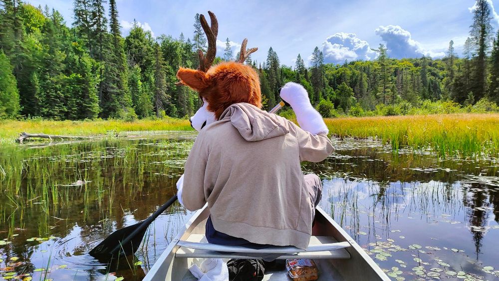 Deer fursuiter canoeing through canoe-lake in Canada