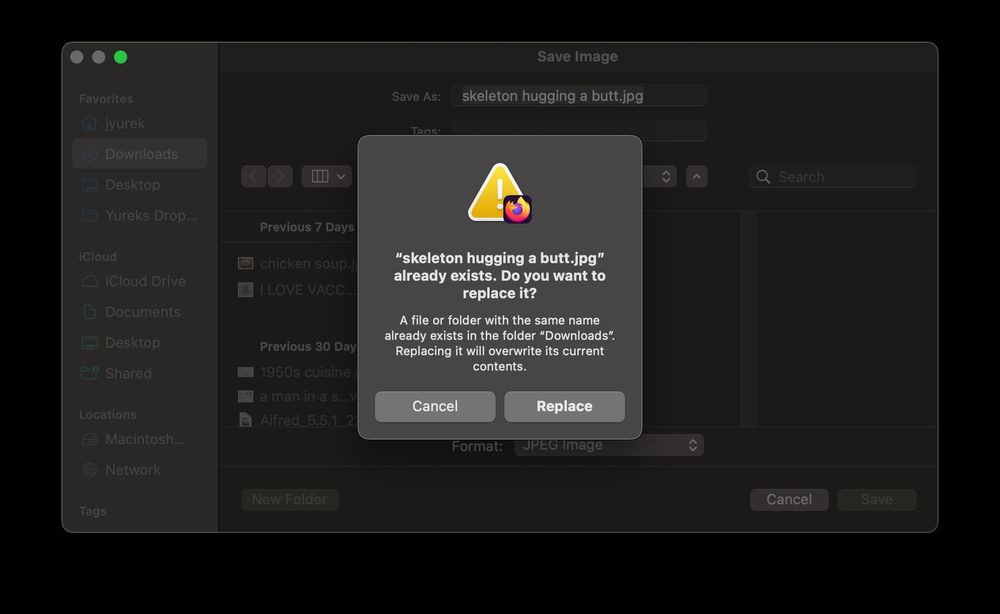 Screenshot of a error that came up from a MacOS save dialog box. It says ""skeleton hugging a butt.jpg" already exists. Do you want to replace it?"