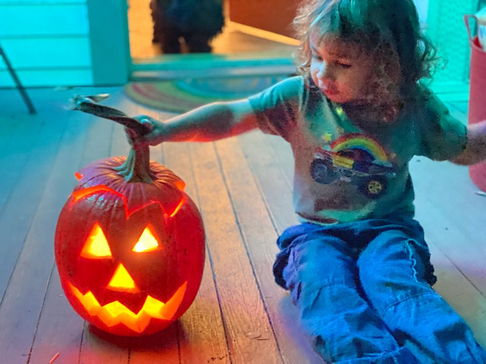 A jack-o’-lantern cut in the traditional style on the front porch next to him sits a 3 1/2 year-old little boy with a rainbow monster truck T-shirt. Behind them a small puli stands in the front entryway, judging them.