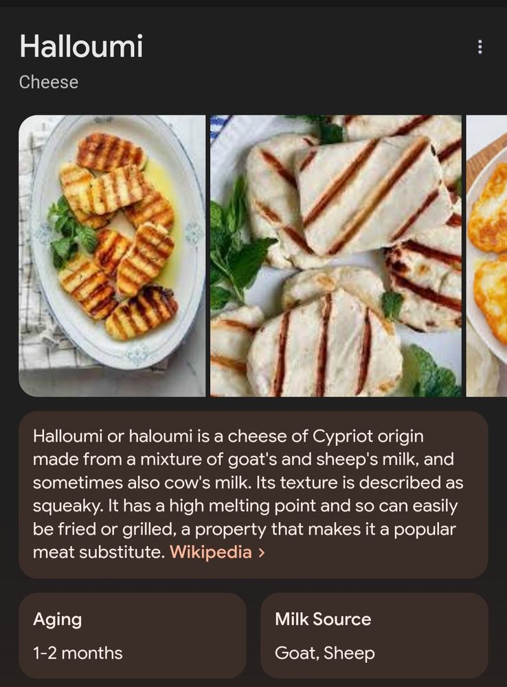 Halloumi Google page