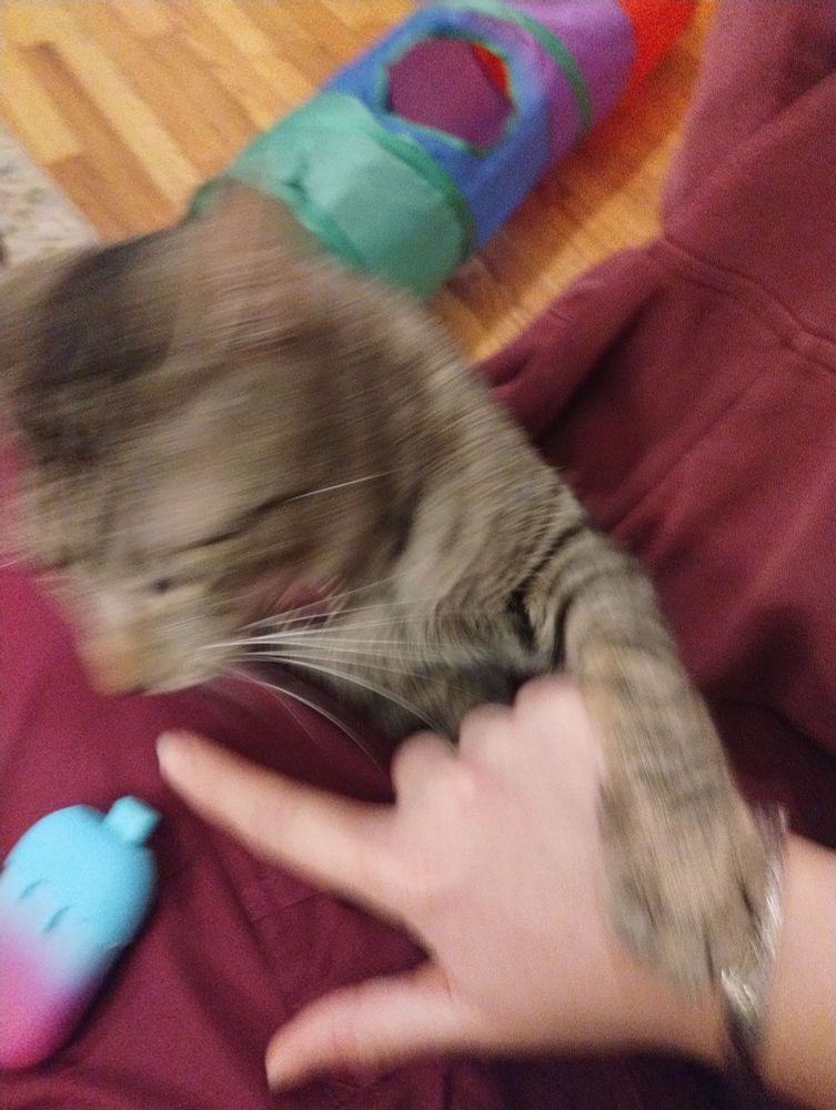 Pussy