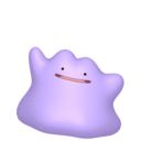 Generation 8 Ditto which for some reason has turned fuzzy in the process of saving it but you get the idea 