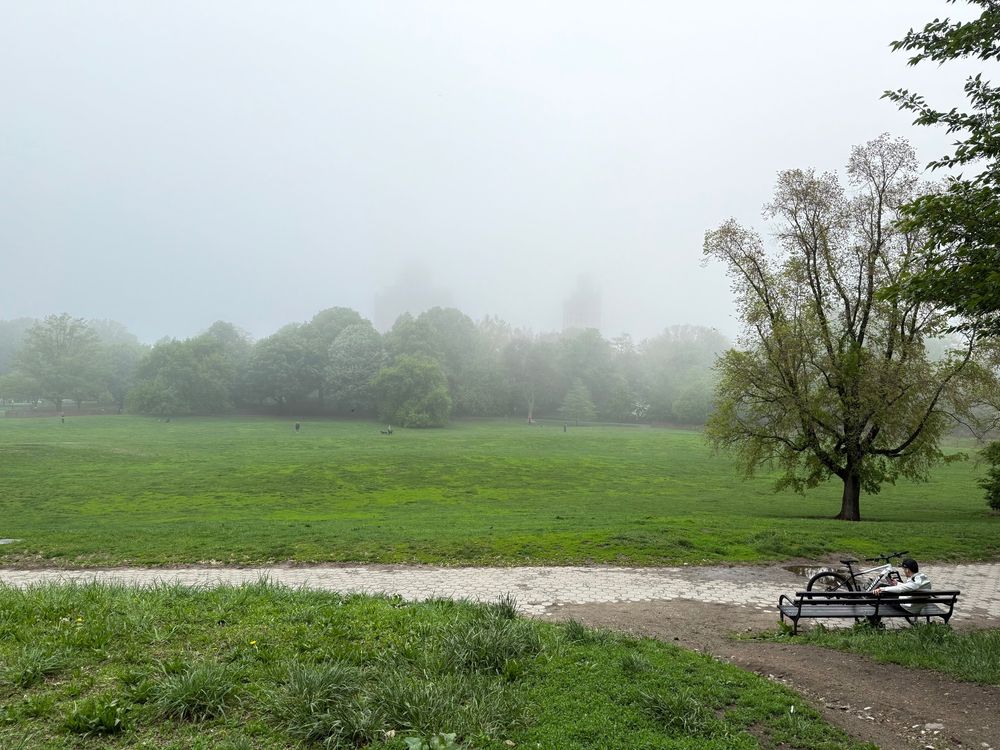 A cyclist takes a break on a park bench looking over a foggy park meadow