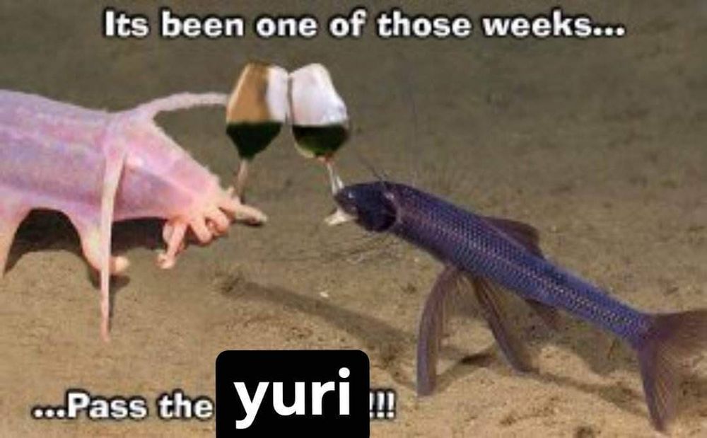 two ocean creatures clinking wine glasses with the caption: it's been one of those weeks....pass the yuri!!