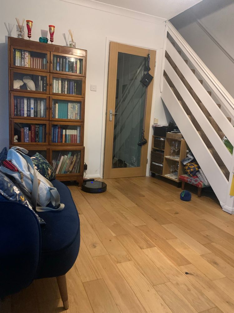 Sitting room with bookcase, stairs and glass door into a hallway. Behind the glass door a black cat is hunched, glaring. 