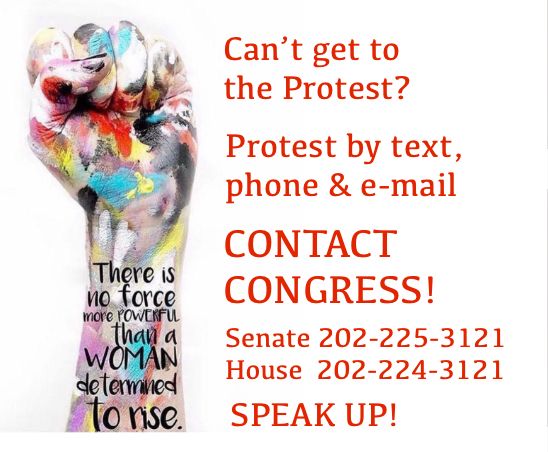 Can’t get to the protest. Protest by text phone and email. Contact Congress! 
Sentate 202–2 25–3121 
House 202–224–3121.
Speak up! 
Next to an artistic and colorful image of a woman’s fist with the words on it, there is no force more powerful than a woman determined to rise 