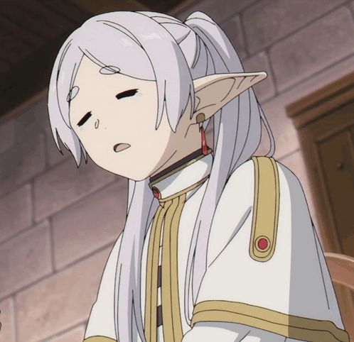 a girl with long white hair and elf ears