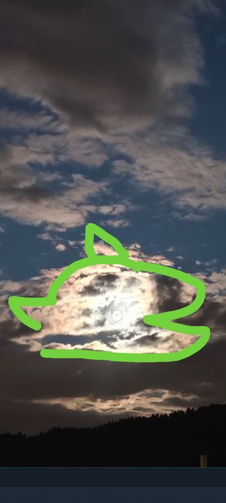 screenshot des geposteten morgenhimmels mit vielen wolken und sonnenstrahlen dahinter. mit einer grünen umrandung wurde der lachende kopf eines hundes rein gezeichnet