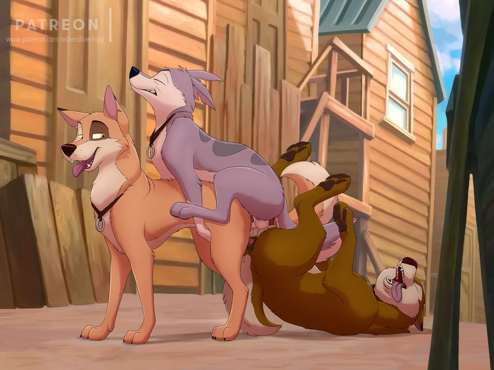 A threesome featured by Kaltag, Star and Nikki. These sled dog are all anally knotted by their partner in this order: Star mounting and stuck in Kaltag's ass, Kaltag is standing and knotting Nikki, finally Nikki is laying down hanging from Kaltag's knot and tie to Star as well.