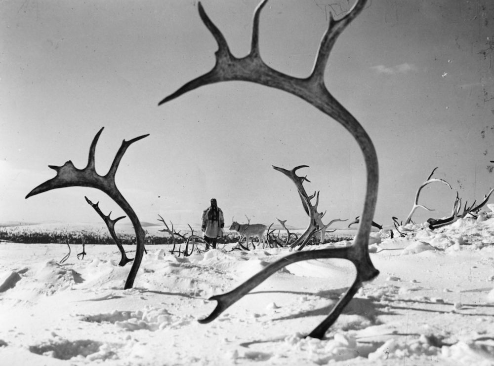 The White Reindeer (Valkoinen peura) (1952) - Projected Figures