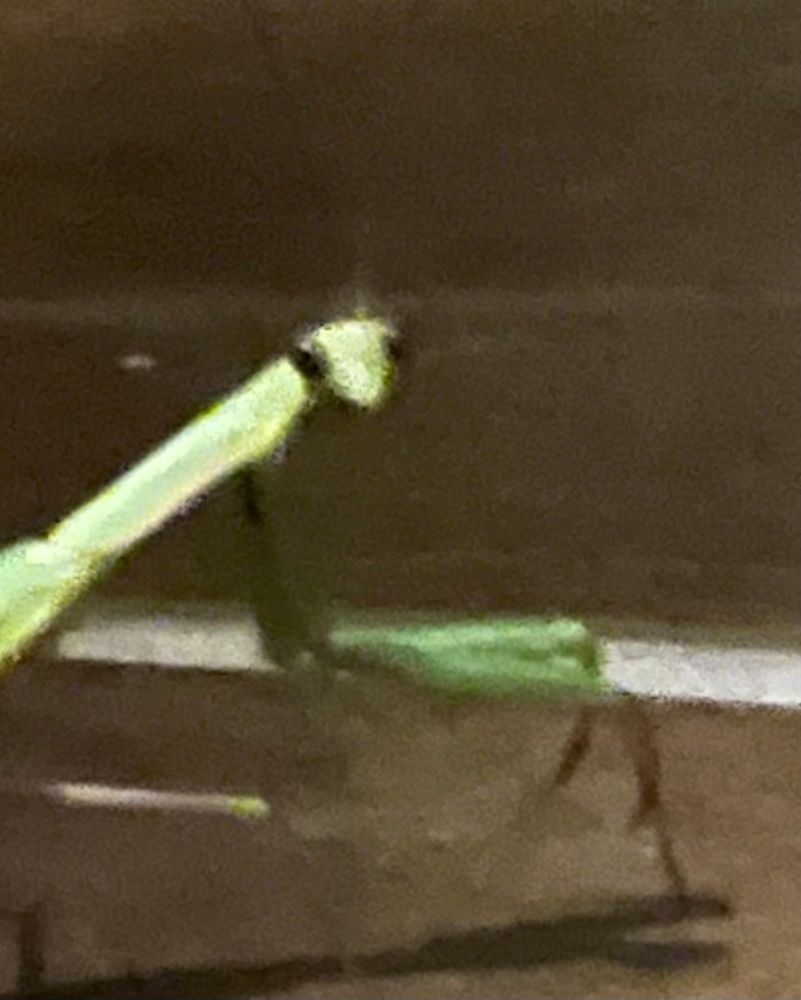 What?  Are you taking my picture?!?