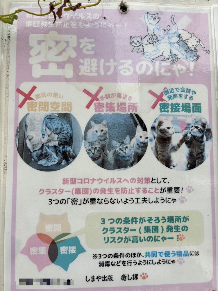 工事現場に貼ってあった「3密を避けよう」というポスター。猫好きで有名なしまや出版が印刷したもので、そこかしこに猫の写真がレイアウトされている。