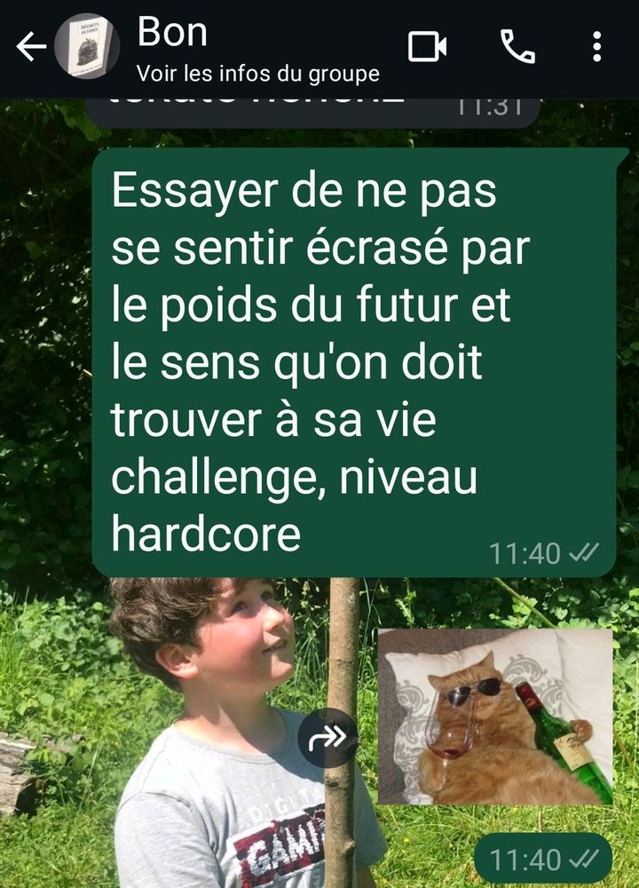 Capture d'écran d'un groupe de discussion avec 2 ami·es de mon master dans laquelle j'ai écrit: "Essayer de ne pas se sentir écrasé par le poids du futur et le sens qu'on doit trouver à sa vie challenge, niveau hardcore." 
Suivi d'un sticker d'un chat portant des lunettes de soleil, couché dans un lit, tenant une bouteille de vin entamée contre lui et un verre de vin quasi vide dans sa patte.