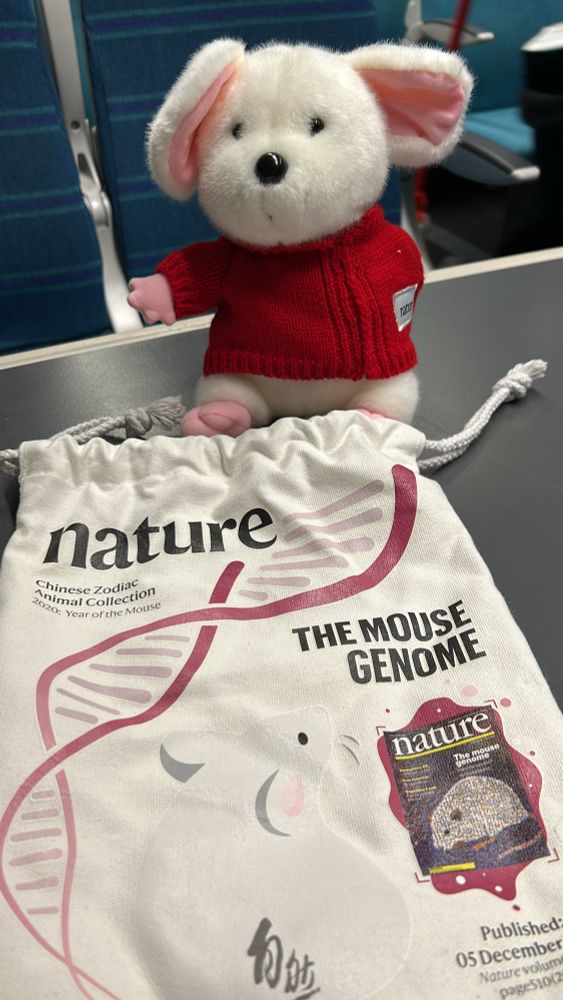 Soft toy mouse and a bag