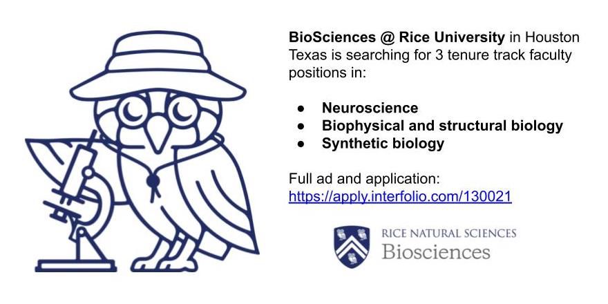 Ad for Rice BioSciences faculty search