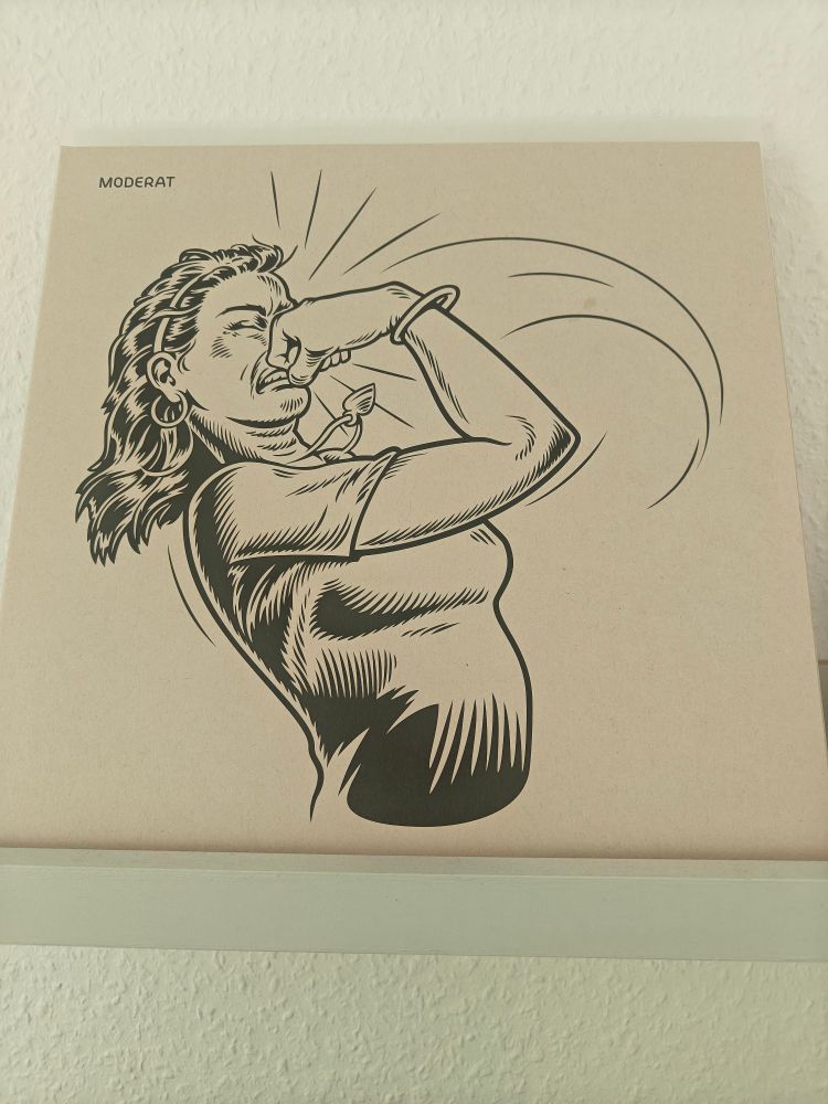 Foto der Plattenhülle vom ersten MODERAT-Album. Darauf ist die Zeichnung einer Frau zu sehen, die sich selbst mit der Faust ins Gesicht schlägt