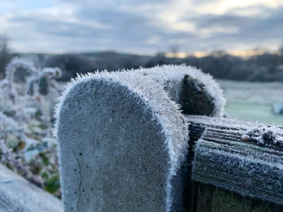 A frost covered, concrete fence posts 