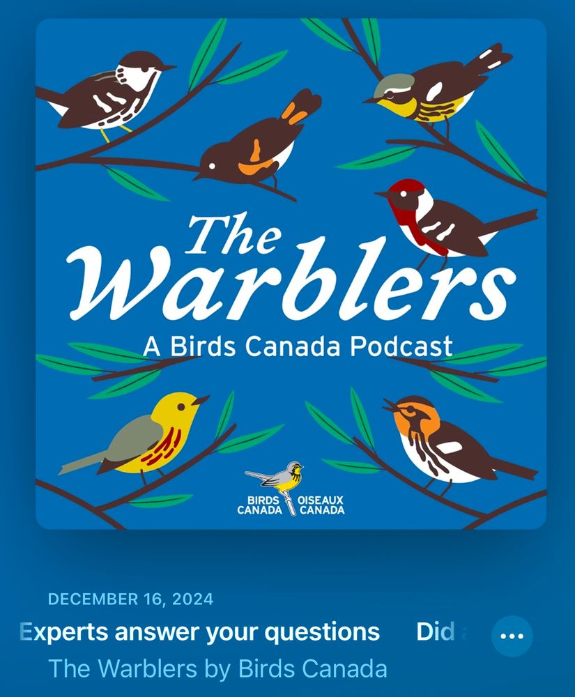 Cover art illustrating a podcast called "The Warblers" featuring several species of colorful wood warblers