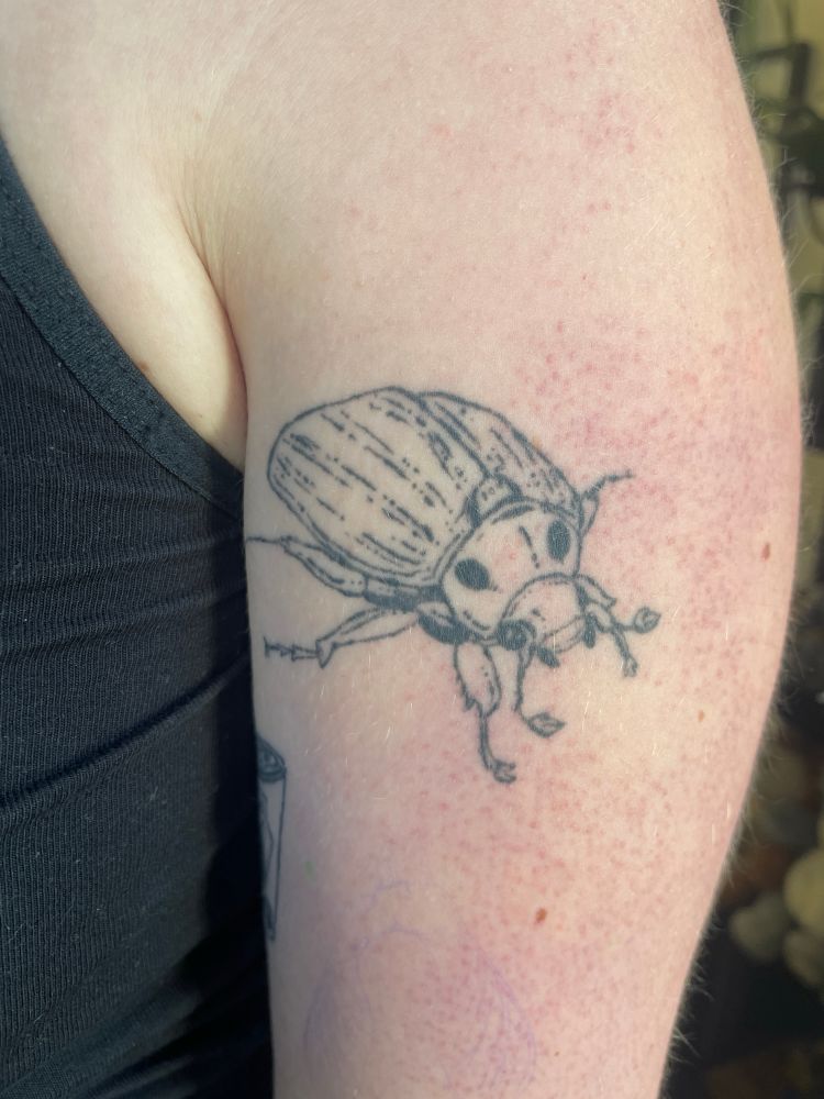 a fine line tattoo of a beetle on an arm