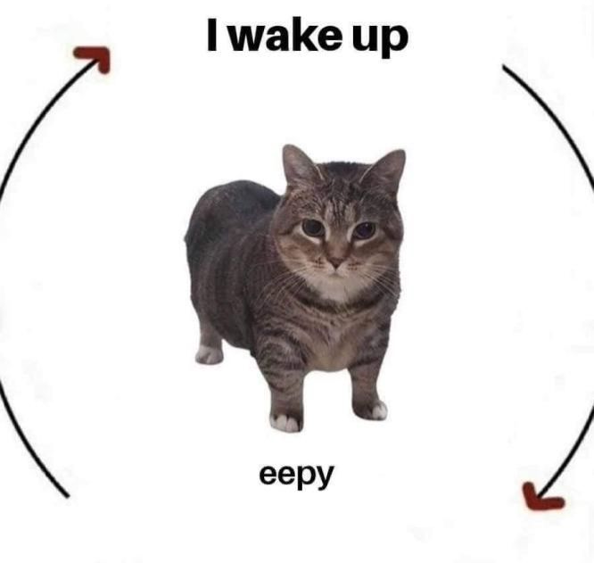A cat situated in the middle of a picture, with a circle of two semi-circular arrows around it (thus implying a cycle of some sort). The circle is broken up at two equidistant points with the text "I wake up" and "eepy", respectively.