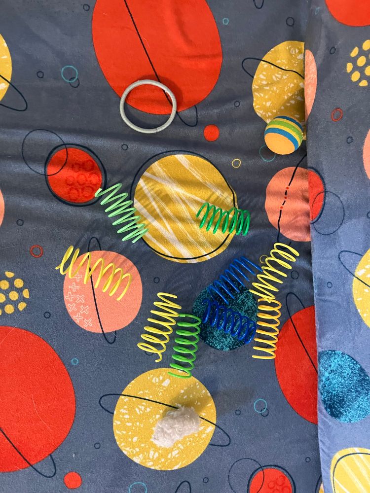 The cat’s cache of toys. Nine colorful plastic springs, dirty mouse, a white hair tie, and an orange striped ball