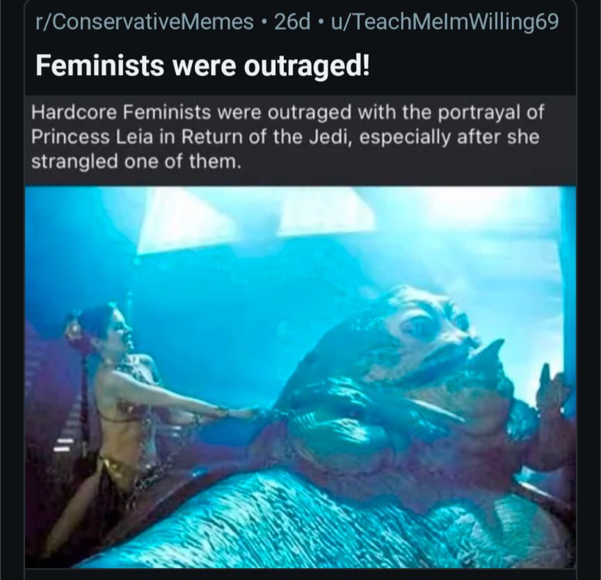 Feminists were outraged!

Hardcore Feminists were outraged with the portrayal of Princess Leia in Return of the Jedi, especially after she strangled one of them.
