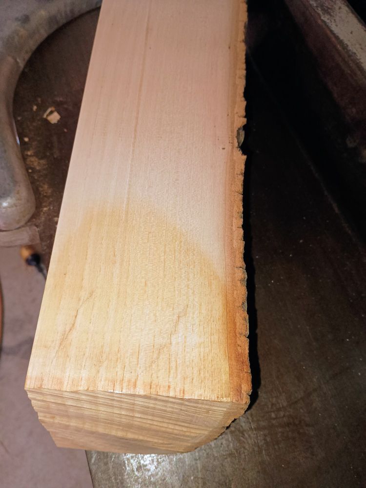 Jointer cleaned up most of the bandsaw marks and a quick splash of oil on the waste end of the log to see finished timber colour