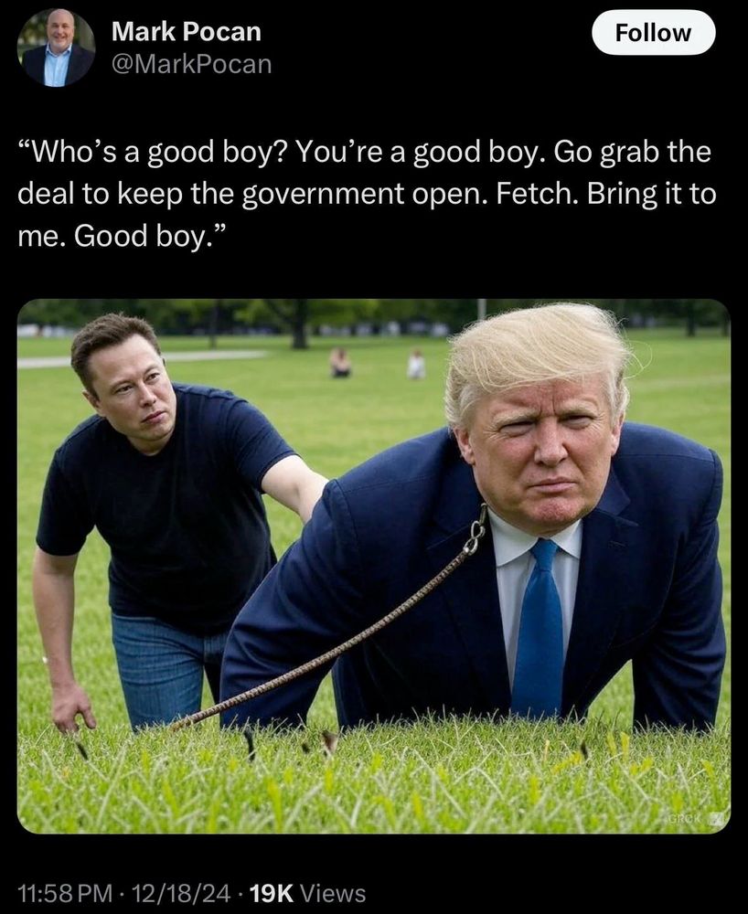 Photoshopped image of Elon Musk leading Donald Trump on a dog leash. Text: "Who's a good boy? You're a good boy. Go grab the deal to keep the government open. Fetch. Bring it to me. Good boy."