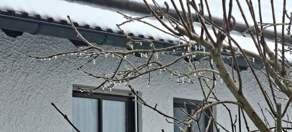 Kleine Eiszapfen am Fliederbaum